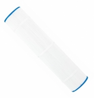 Springwater 225 sq ft cartridge filter 