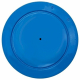 Blue Pacific 25 sq ft cartridge filter  top - Click on picture for larger top image